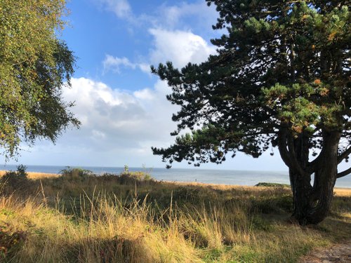 Ausblick Kupferkanne